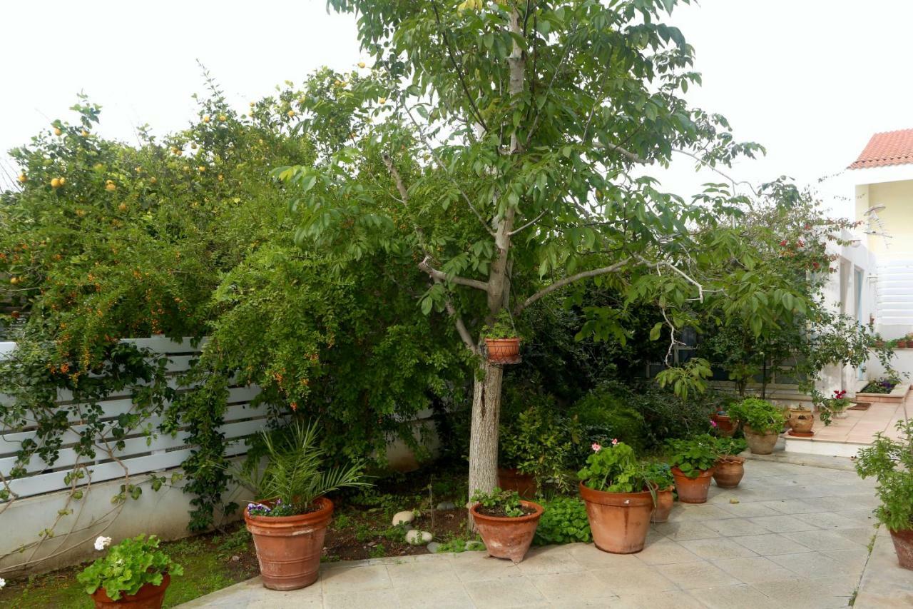 Sunny Garden Studio Hotel Nicosia Exterior photo